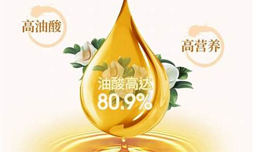 2011年茶油价格_茶油多少钱一斤2019年